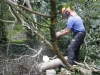 Tree surgery Pembrokeshire